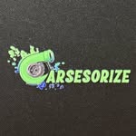 carsesorize